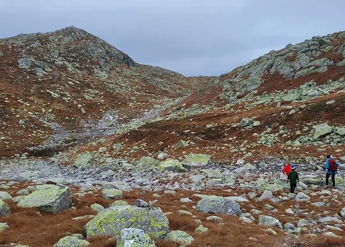Feriehus Family-friendly At Høgevarde!
